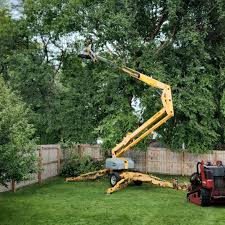 Best Tree Removal Service  in Garnet, CA